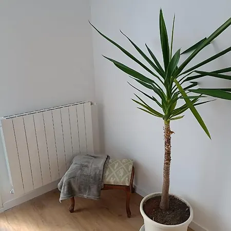 Apartamento Ocean *